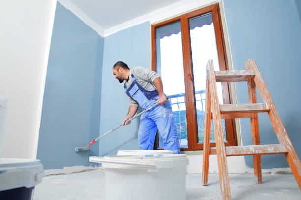 Trusted Norwalk, IA Mold Removal Experts